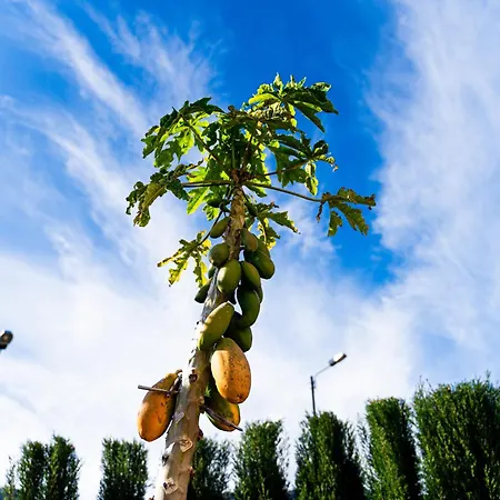 Galvao House Experience *