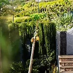 Galvao House Experience Ribeira Brava