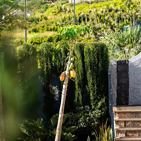 Galvao House Experience Ribeira Brava