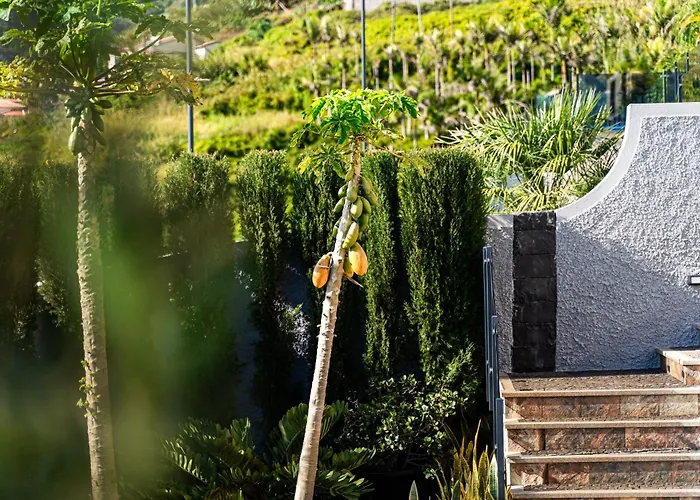 Galvao House Experience Ribeira Brava